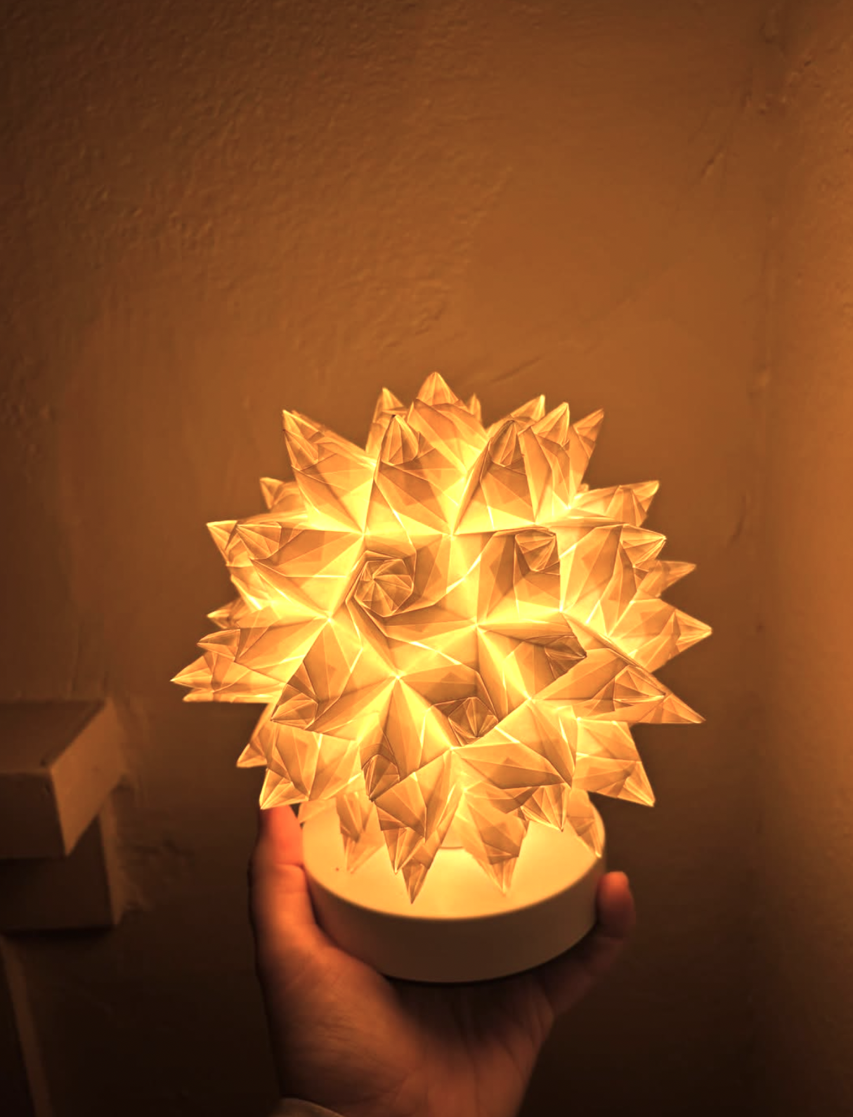 Stellated lamp